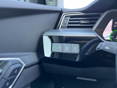 Audi Q8 e-tron Gebrauchtwagen