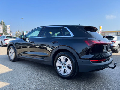 Audi Q8 e-tron Gebrauchtwagen