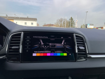 Skoda Karoq Gebrauchtwagen Skoda Karoq Gebrauchtwagen