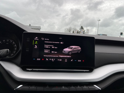 Skoda Octavia Gebrauchtwagen