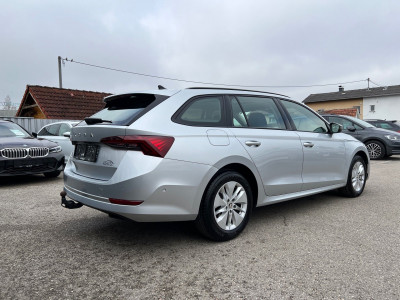 Skoda Octavia Gebrauchtwagen
