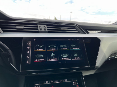 Audi Q8 e-tron Gebrauchtwagen