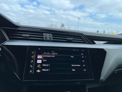 Audi Q8 e-tron Gebrauchtwagen