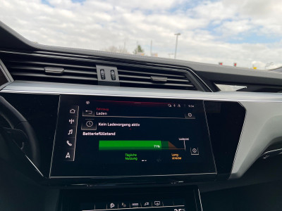 Audi Q8 e-tron Gebrauchtwagen