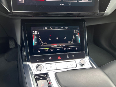 Audi Q8 e-tron Gebrauchtwagen