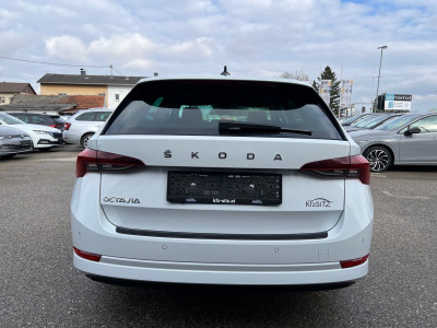 Skoda Octavia Gebrauchtwagen