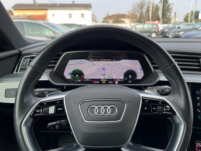 Audi Q8 e-tron Gebrauchtwagen