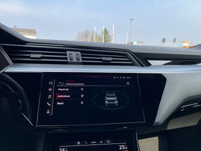 Audi Q8 e-tron Gebrauchtwagen