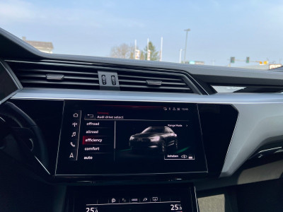 Audi Q8 e-tron Gebrauchtwagen