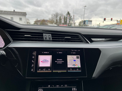 Audi Q8 e-tron Gebrauchtwagen