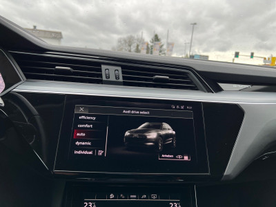 Audi Q8 e-tron Gebrauchtwagen