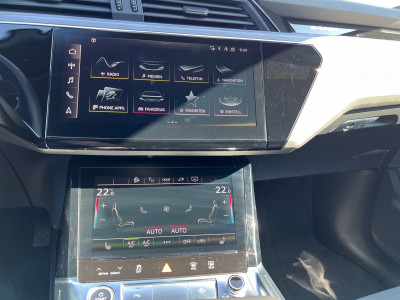 Audi Q8 e-tron Gebrauchtwagen