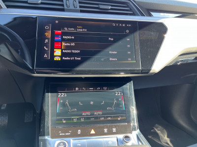 Audi Q8 e-tron Gebrauchtwagen