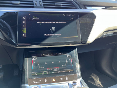 Audi Q8 e-tron Gebrauchtwagen