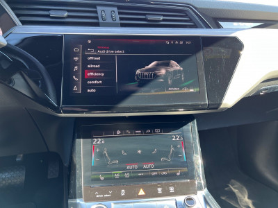 Audi Q8 e-tron Gebrauchtwagen