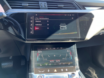 Audi Q8 e-tron Gebrauchtwagen