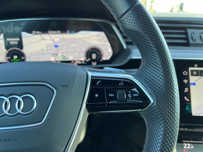 Audi Q8 e-tron Gebrauchtwagen