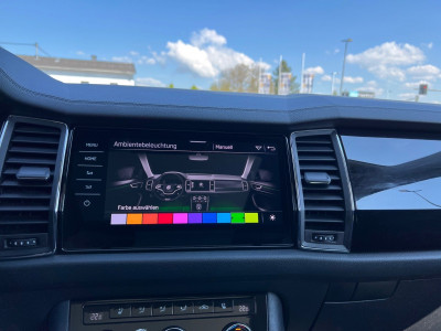 Skoda Kodiaq Gebrauchtwagen