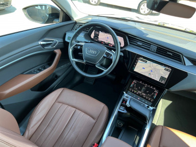 Audi Q8 e-tron Gebrauchtwagen