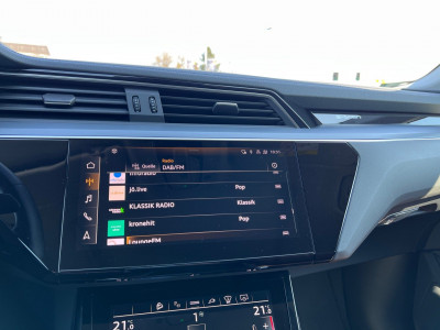 Audi Q8 e-tron Gebrauchtwagen