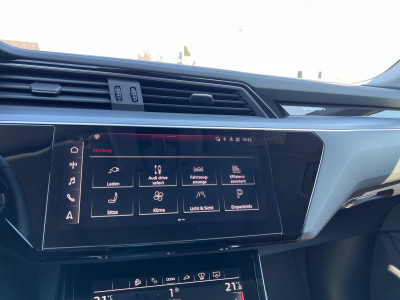 Audi Q8 e-tron Gebrauchtwagen