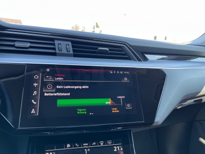 Audi Q8 e-tron Gebrauchtwagen