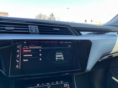 Audi Q8 e-tron Gebrauchtwagen