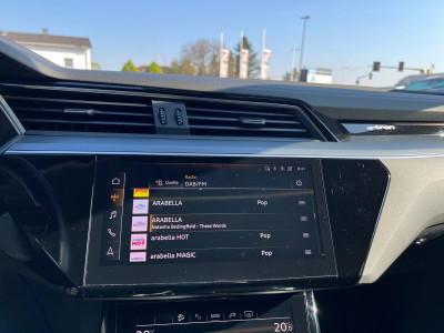 Audi Q8 e-tron Gebrauchtwagen