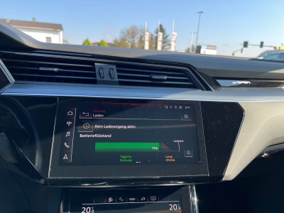 Audi Q8 e-tron Gebrauchtwagen