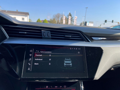 Audi Q8 e-tron Gebrauchtwagen