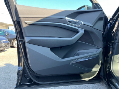 Audi Q8 e-tron Gebrauchtwagen