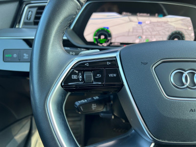 Audi Q8 e-tron Gebrauchtwagen