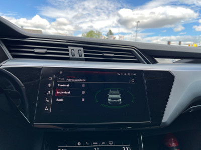 Audi Q8 e-tron Gebrauchtwagen