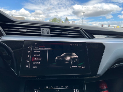 Audi Q8 e-tron Gebrauchtwagen