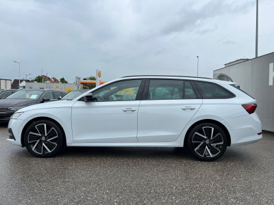 Skoda Octavia Gebrauchtwagen