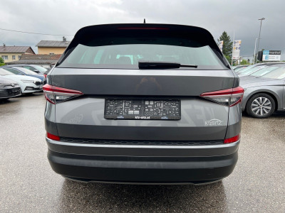Skoda Kodiaq Gebrauchtwagen Skoda Kodiaq Gebrauchtwagen