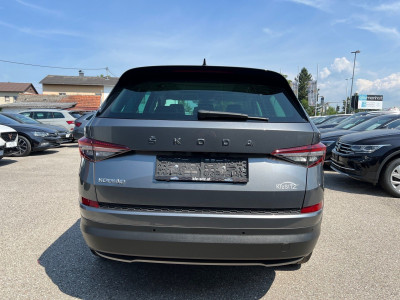 Skoda Kodiaq Gebrauchtwagen