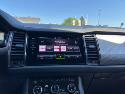 Skoda Kodiaq Gebrauchtwagen