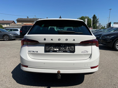 Skoda Octavia Gebrauchtwagen