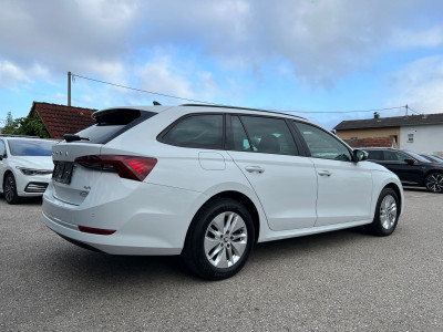Skoda Octavia Gebrauchtwagen Skoda Octavia Gebrauchtwagen