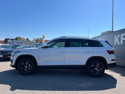 Skoda Kodiaq Gebrauchtwagen Skoda Kodiaq Gebrauchtwagen