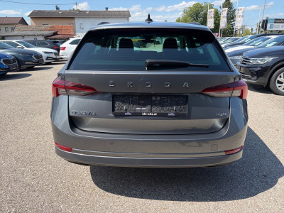Skoda Octavia Gebrauchtwagen Skoda Octavia Gebrauchtwagen