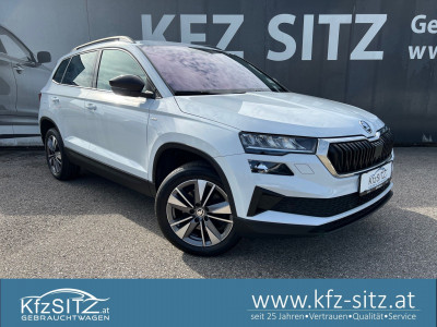 Skoda Karoq Gebrauchtwagen