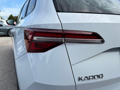 Skoda Karoq Gebrauchtwagen