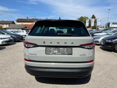 Skoda Kodiaq Gebrauchtwagen Skoda Kodiaq Gebrauchtwagen