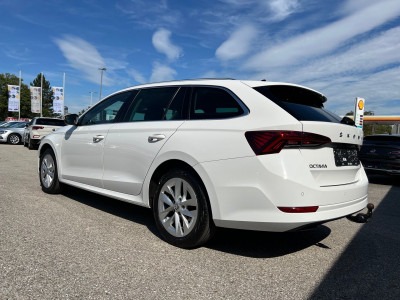 Skoda Octavia Gebrauchtwagen