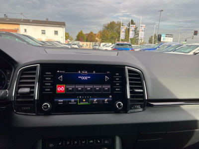 Skoda Karoq Gebrauchtwagen