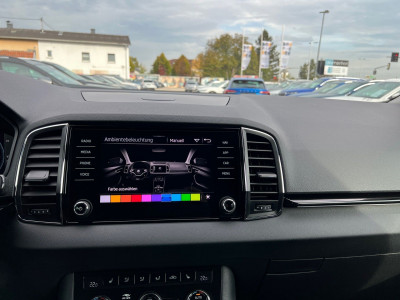 Skoda Karoq Gebrauchtwagen