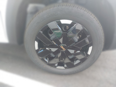 Dacia Spring Vorführwagen