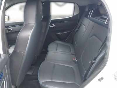 Dacia Spring Gebrauchtwagen